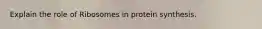Explain the role of Ribosomes in protein synthesis.