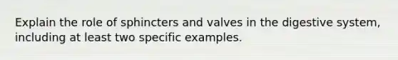 Explain the role of sphincters and valves in the digestive system, including at least two specific examples.