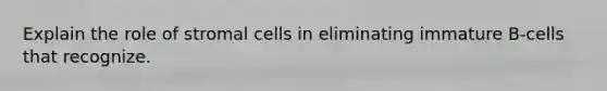 Explain the role of stromal cells in eliminating immature B-cells that recognize.