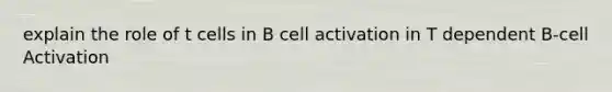 explain the role of t cells in B cell activation in T dependent B-cell Activation