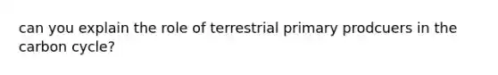 can you explain the role of terrestrial primary prodcuers in the carbon cycle?