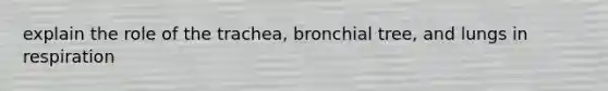 explain the role of the trachea, bronchial tree, and lungs in respiration