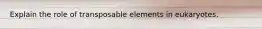 Explain the role of transposable elements in eukaryotes.