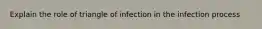 Explain the role of triangle of infection in the infection process