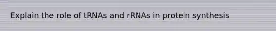 Explain the role of tRNAs and rRNAs in protein synthesis