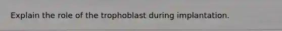 Explain the role of the trophoblast during implantation.