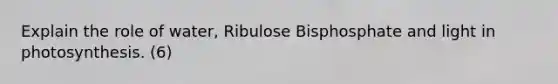 Explain the role of water, Ribulose Bisphosphate and light in photosynthesis. (6)