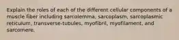 Explain the roles of each of the different cellular components of a muscle fiber including sarcolemma, sarcoplasm, sarcoplasmic reticulum, transverse-tubules, myofibril, myofilament, and sarcomere.