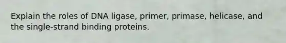 Explain the roles of DNA ligase, primer, primase, helicase, and the single-strand binding proteins.