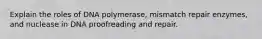 Explain the roles of DNA polymerase, mismatch repair enzymes, and nuclease in DNA proofreading and repair.