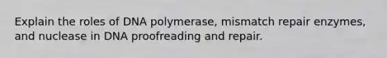 Explain the roles of DNA polymerase, mismatch repair enzymes, and nuclease in DNA proofreading and repair.