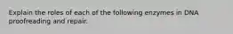 Explain the roles of each of the following enzymes in DNA proofreading and repair.