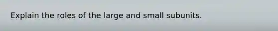 Explain the roles of the large and small subunits.