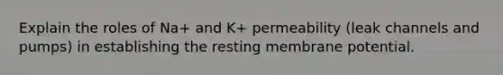 Explain the roles of Na+ and K+ permeability (leak channels and pumps) in establishing the resting membrane potential.