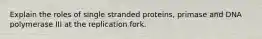 Explain the roles of single stranded proteins, primase and DNA polymerase III at the replication fork.