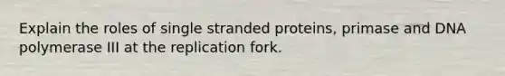 Explain the roles of single stranded proteins, primase and DNA polymerase III at the replication fork.