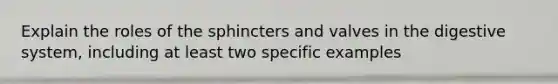 Explain the roles of the sphincters and valves in the digestive system, including at least two specific examples