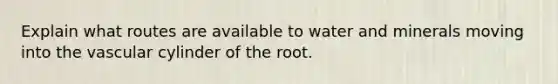 Explain what routes are available to water and minerals moving into the vascular cylinder of the root.