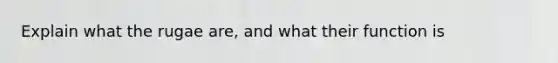 Explain what the rugae are, and what their function is