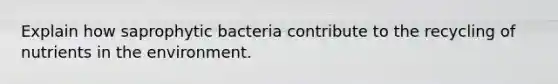 Explain how saprophytic bacteria contribute to the recycling of nutrients in the environment.