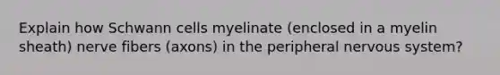 Explain how Schwann cells myelinate (enclosed in a myelin sheath) nerve fibers (axons) in the peripheral nervous system?