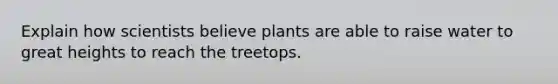 Explain how scientists believe plants are able to raise water to great heights to reach the treetops.