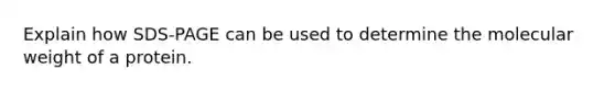 Explain how SDS-PAGE can be used to determine the molecular weight of a protein.