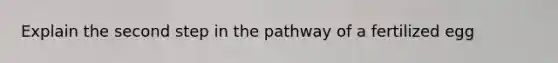 Explain the second step in the pathway of a fertilized egg