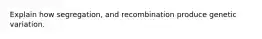 Explain how segregation, and recombination produce genetic variation.