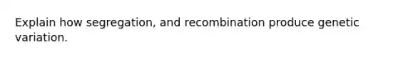 Explain how segregation, and recombination produce genetic variation.