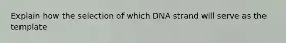 Explain how the selection of which DNA strand will serve as the template