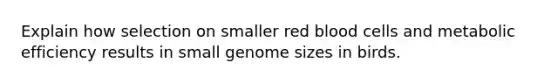 Explain how selection on smaller red blood cells and metabolic efficiency results in small genome sizes in birds.