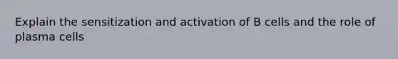 Explain the sensitization and activation of B cells and the role of plasma cells