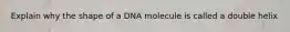 Explain why the shape of a DNA molecule is called a double helix