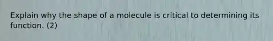 Explain why the shape of a molecule is critical to determining its function. (2)