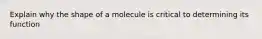 Explain why the shape of a molecule is critical to determining its function