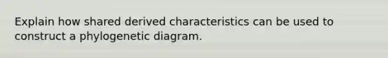 Explain how shared derived characteristics can be used to construct a phylogenetic diagram.