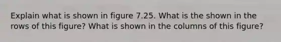 Explain what is shown in figure 7.25. What is the shown in the rows of this figure? What is shown in the columns of this figure?