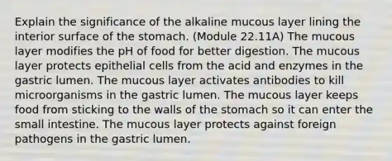 Explain the significance of the alkaline mucous layer lining the interior surface of the stomach. (Module 22.11A) The mucous layer modifies the pH of food for better digestion. The mucous layer protects epithelial cells from the acid and enzymes in the gastric lumen. The mucous layer activates antibodies to kill microorganisms in the gastric lumen. The mucous layer keeps food from sticking to the walls of the stomach so it can enter the small intestine. The mucous layer protects against foreign pathogens in the gastric lumen.