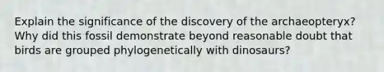 Explain the significance of the discovery of the archaeopteryx? Why did this fossil demonstrate beyond reasonable doubt that birds are grouped phylogenetically with dinosaurs?