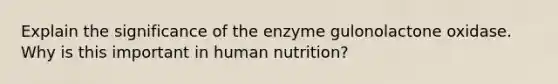 Explain the significance of the enzyme gulonolactone oxidase. Why is this important in human nutrition?