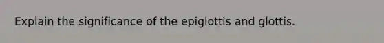 Explain the significance of the epiglottis and glottis.