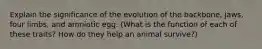 Explain the significance of the evolution of the backbone, jaws, four limbs, and amniotic egg. (What is the function of each of these traits? How do they help an animal survive?)