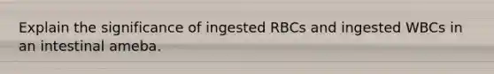 Explain the significance of ingested RBCs and ingested WBCs in an intestinal ameba.