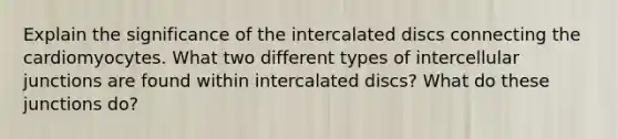 Explain the significance of the intercalated discs connecting the cardiomyocytes. What two different types of intercellular junctions are found within intercalated discs? What do these junctions do?