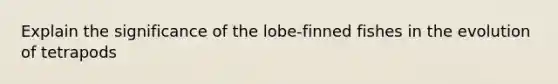 Explain the significance of the lobe-finned fishes in the evolution of tetrapods