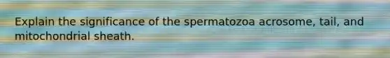 Explain the significance of the spermatozoa acrosome, tail, and mitochondrial sheath.