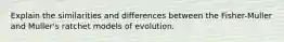 Explain the similarities and differences between the Fisher-Muller and Muller's ratchet models of evolution.