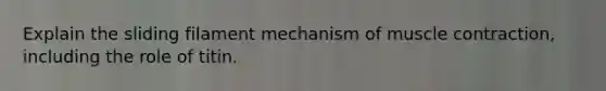 Explain the sliding filament mechanism of muscle contraction, including the role of titin.