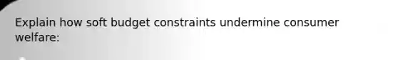 Explain how soft budget constraints undermine consumer welfare: